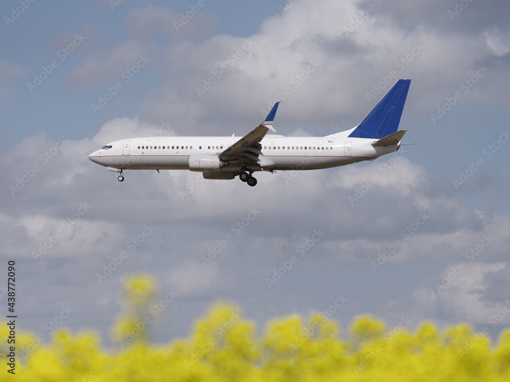 Obraz premium 菜の花と飛行機