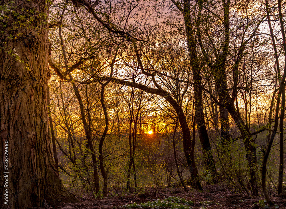 Beautiful landscapes Beautiful landscapes