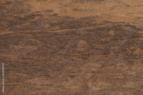 Texture of  Exotic Wood Tree veneer Imbuia Pomele photo