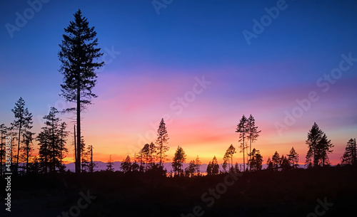 Black silhouettes of pine trees against the backdrop of a stunning sunset. Sunset on the Pacific coast. Gillies Bay  Texada Island  BC. Canada