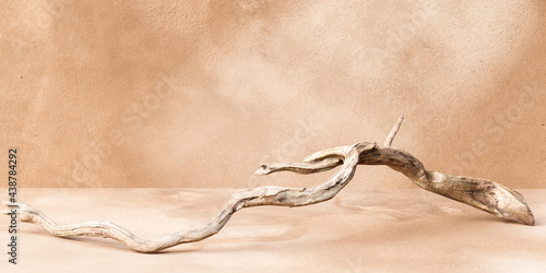 Fototapeta Naklejka Na Ścianę i Meble -  Minimalistic scene with beige textured wall and dry wood tree piece, product presentation, object placement mockup 3d rendering