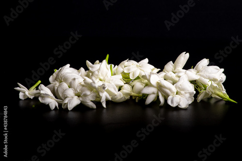jasmine  flowers on black background