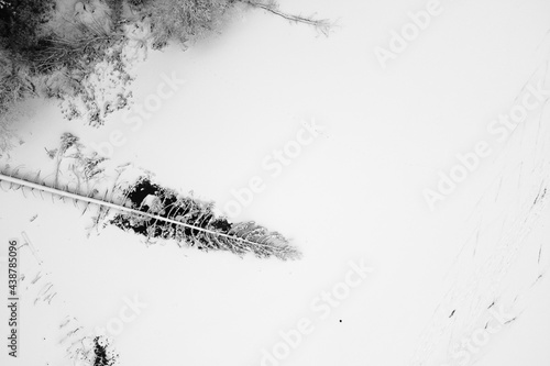 Winter landscape with forest river and snowy trees  aerial view