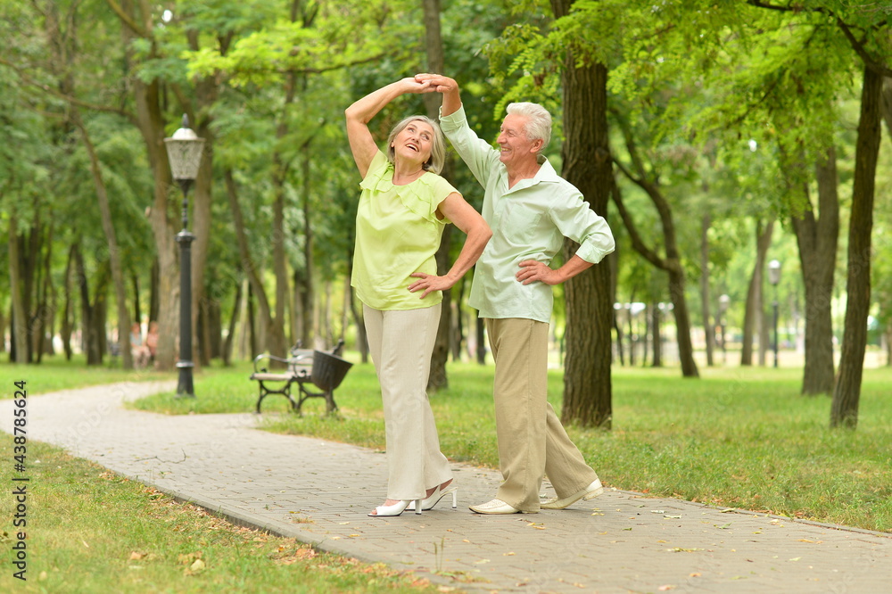 Porait of senior couple dancing in the park Porait of senior couple dancing in the park