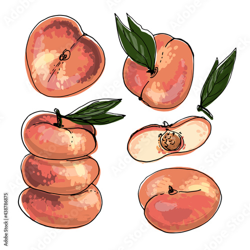 Flat peach Vector food icons of fruits. Colored sketch of food products. Saturn peach