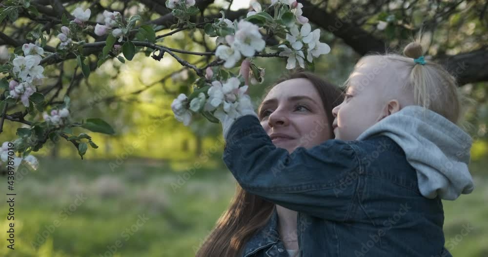 Young mother holding daughter in her arms and sniff blooming tree. Mom and baby in blooming apple orchard. Young mother holding daughter in her arms and sniff blooming tree. Mom and baby in blooming apple orchard.