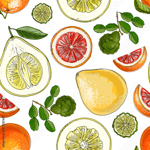 Pattern with citrus fruits orange. Vector food sketch. Exotic food drawings