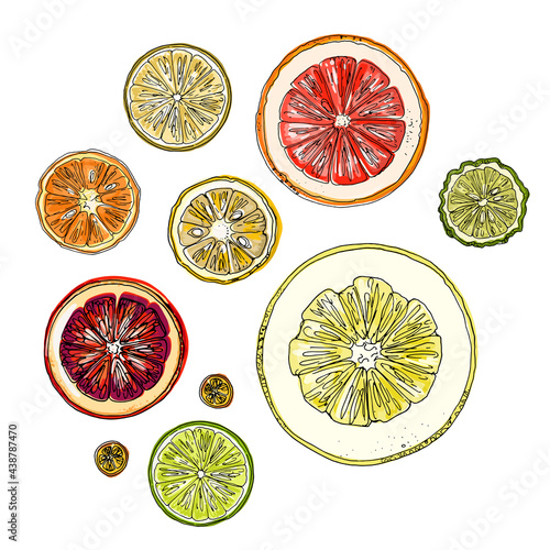 Pattern with citrus fruits orange. Vector food sketch. Exotic food drawings color