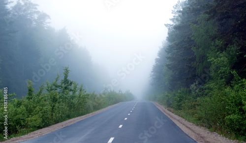 Asphalt road in nature at misty summer morning.