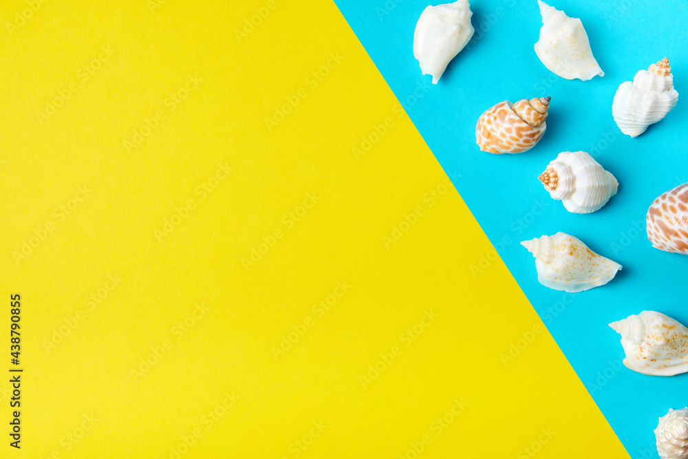 Exotic sea shells on a yellow-blue background with copy space Exotic sea shells on a yellow-blue background with copy space