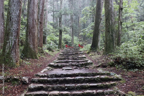 鳳来寺山の岩階段を撮影