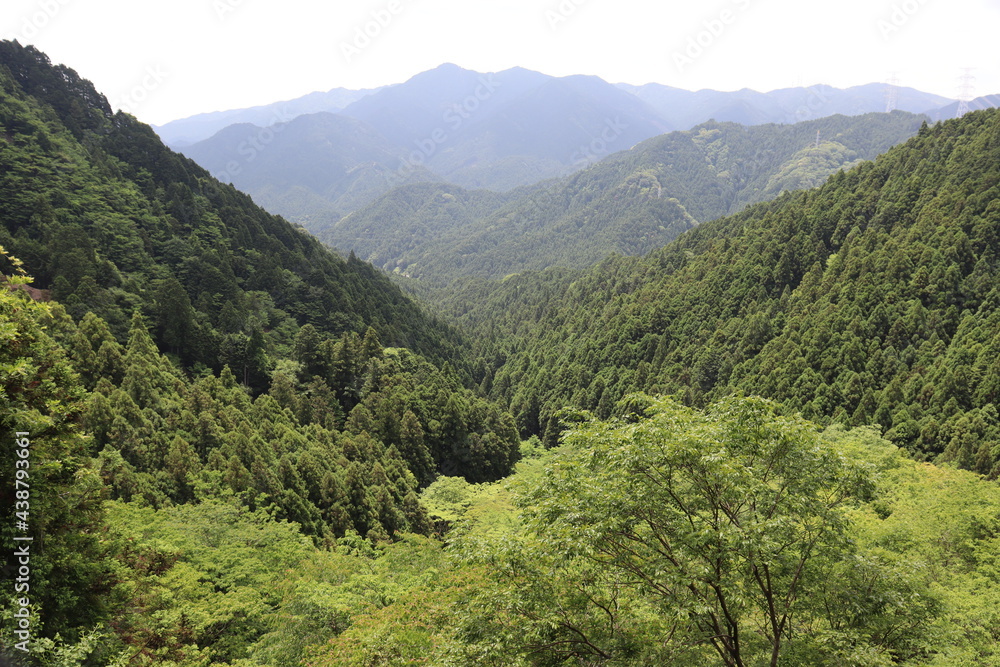 Fototapeta premium 標高の高い場所からのパノラマ撮影