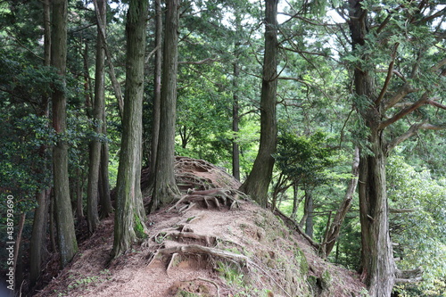 山奥の綺麗な自然の景色