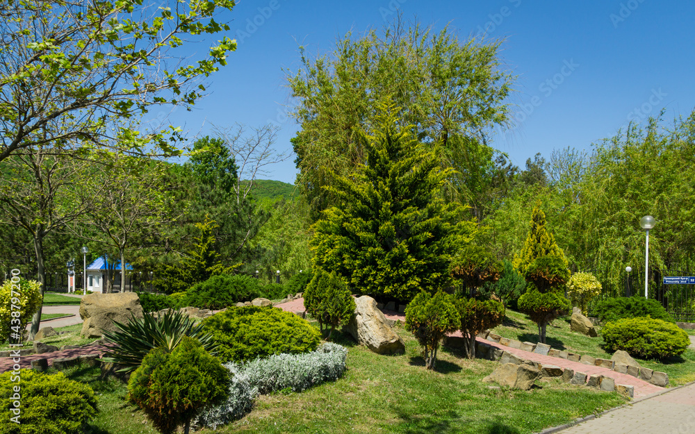 Beautiful park with topiary evergreens plants on the Arkhipo-Osipovka village embankment. Place for relax in seaside resort near Gelendzhik Beautiful park with topiary evergreens plants on the Arkhipo-Osipovka village embankment. Place for relax in seaside resort near Gelendzhik