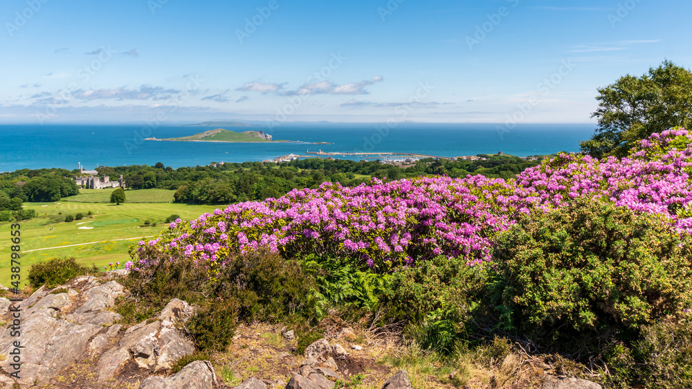 View from Howth Hill over Irish Sea, with the Ireland's Eye island in the distance in County Dublin.