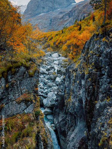 Rocky mountains, canyon and autumnal trees. Mountain landscape with river © artifirsov