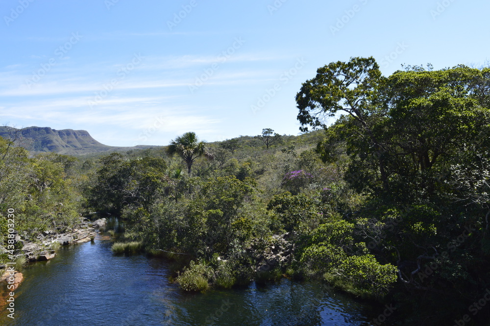 Caminho do rio no cerrado brasileiro com montanha ao fundo.