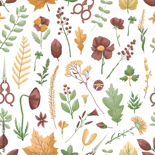 Seamless vector pattern with herbarium leaves and flowers on a white background. Hobby.