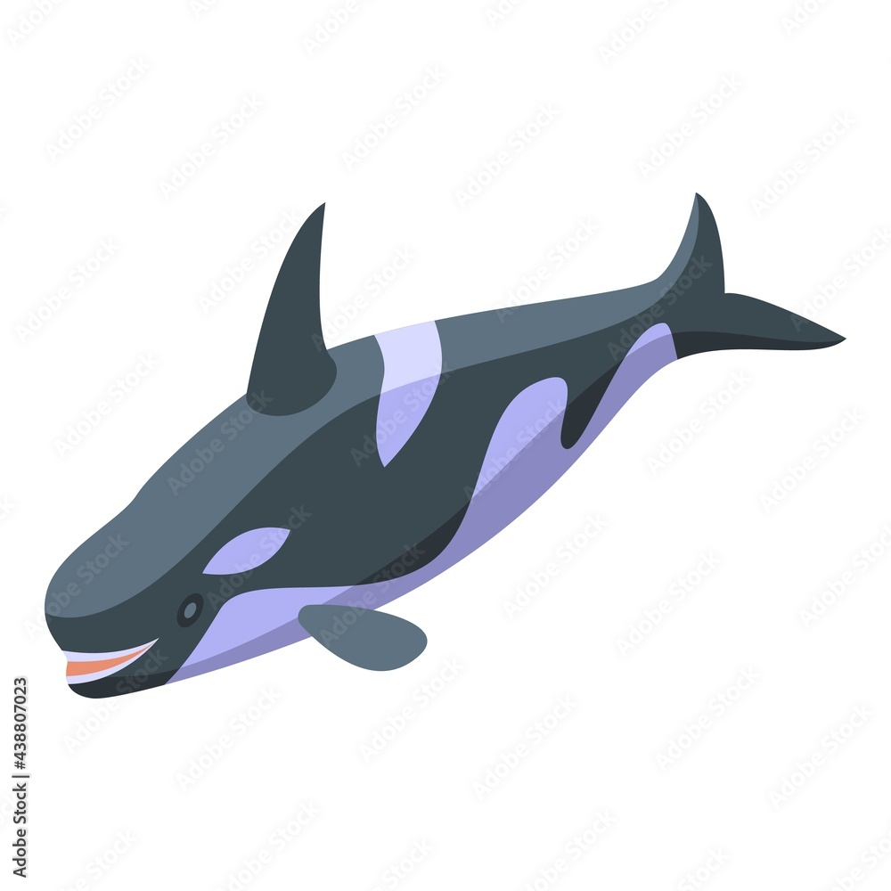 Fototapeta premium Killer whale swimming icon. Isometric of Killer whale swimming vector icon for web design isolated on white background