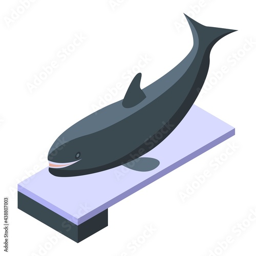 Killer whale on springboard icon. Isometric of Killer whale on springboard vector icon for web design isolated on white background