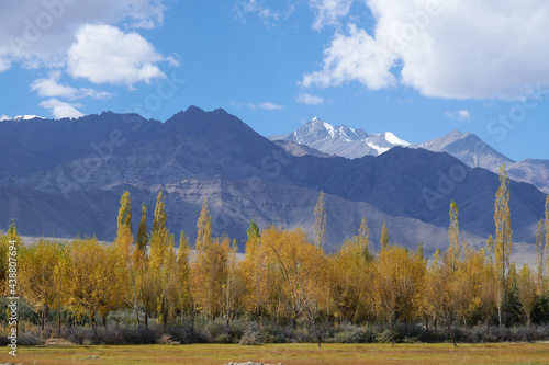 autumn in the mountains