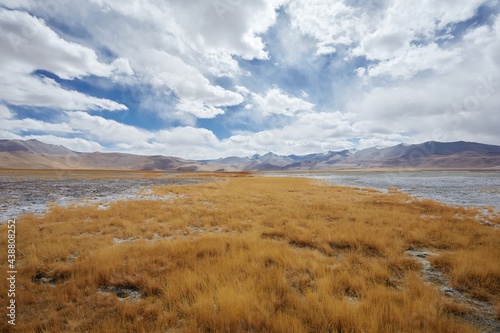 Golden grass with snow mountain