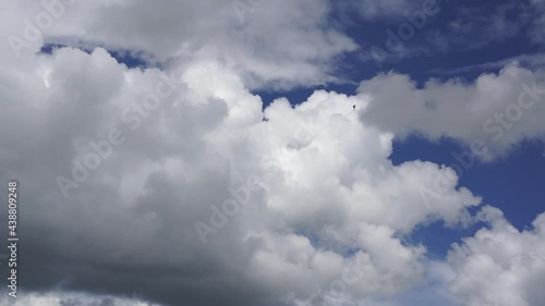 Cumulus clouds moving in the sky with swift birds flying