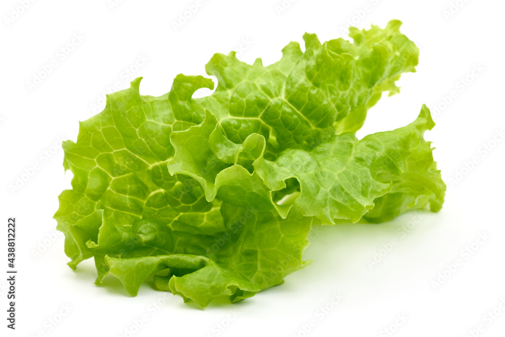 Salad leaf. Lettuce, isolated on white background. High resolution image. Salad leaf. Lettuce, isolated on white background. High resolution image.