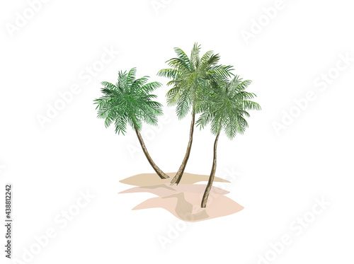 coconut tree illustrations