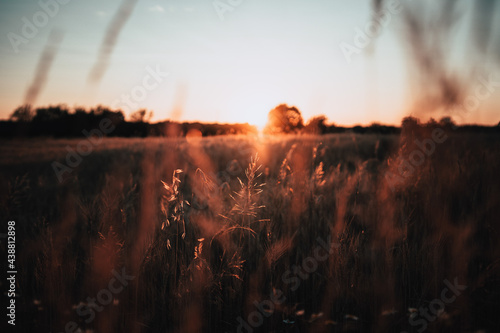 Zachodzące słońce nad polem © Jakub