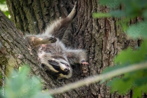 Total fertig.. | ..totally done