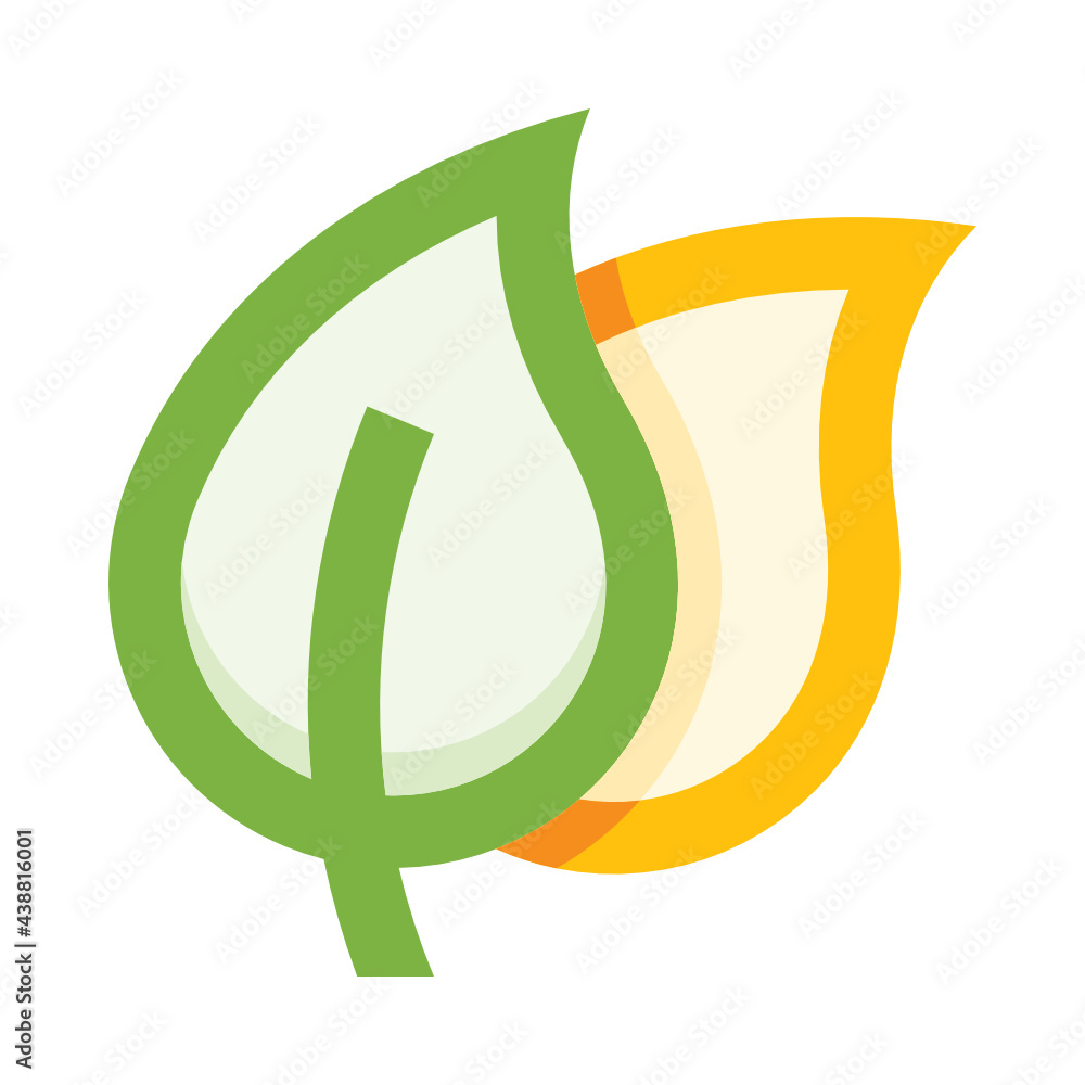 Fototapeta premium Leaf