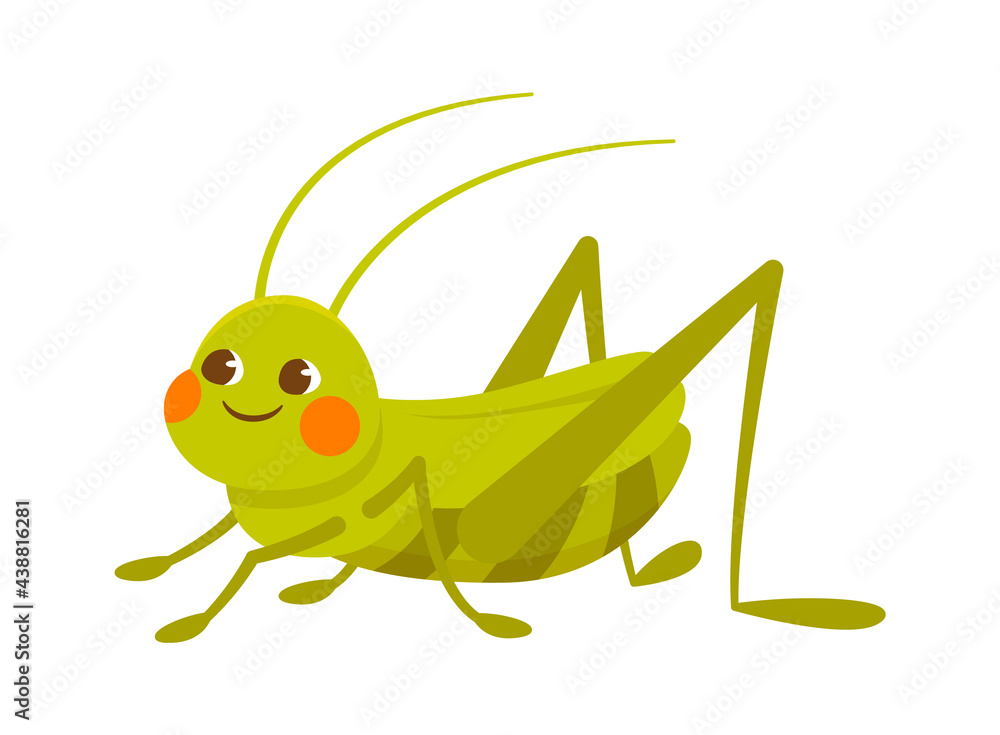 Cute green smiling grasshopper on white background Cute green smiling grasshopper on white background