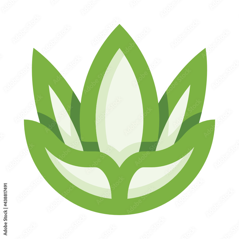 Plant Plant