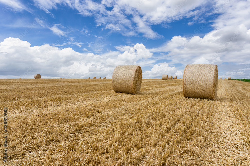 Fototapeta premium Straw bales stacked in a field at summer time, Reims
