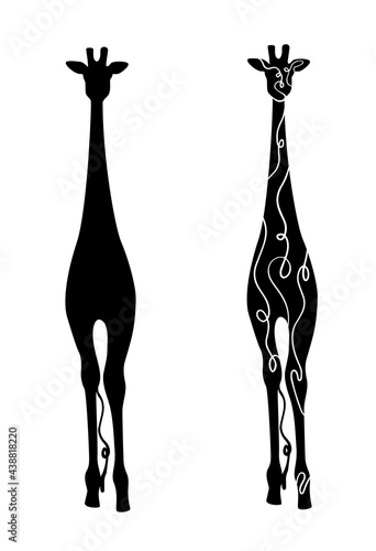 Vector giraffe front wiev black silhouette.Isolated on white with hand drawn lines. Animal art graphic decoration. Wildlife African mammal. Jungle 