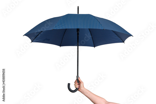 Classic umbrella walking stick