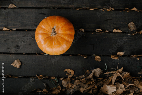 halloween pumpkin