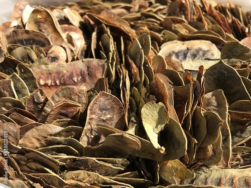 Dried Senna indian herbs in Thailand photo