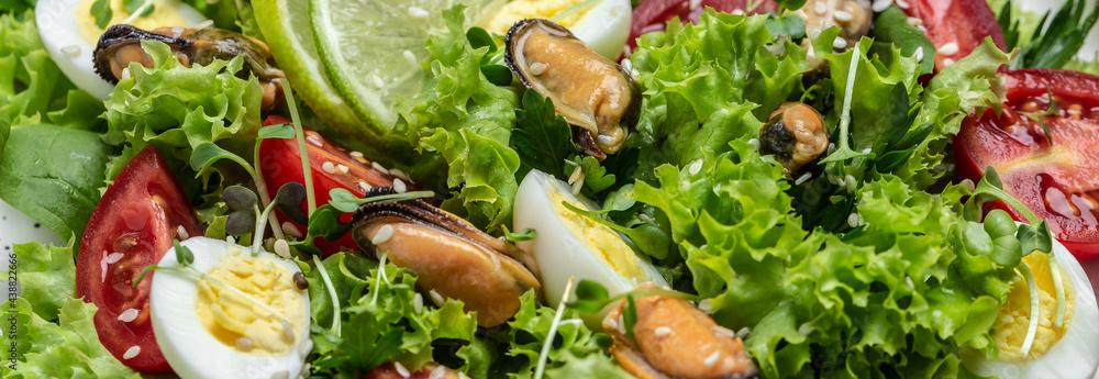 Healthy green salad preparation with salad leaves, mussels, quail, egg, conjugate, lime, spinach, lettuce, cherry tomatoes and microgreen. Dietary salad. Long banner format. top view