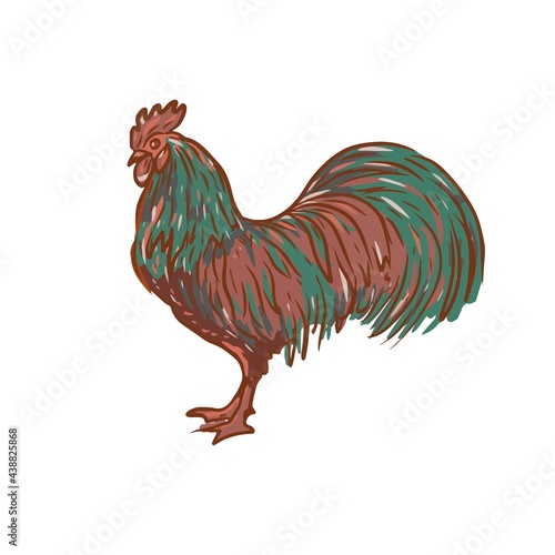 Birds home farm chickens ducks roosters turkeys vector graphic illustration hand-drawn. Engraving color print textile products meat background
