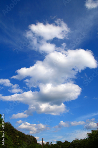 初夏の空・青空・面白い形の雲