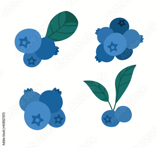 fresh blueberries with leaves isolated on white. Flat vector illustration