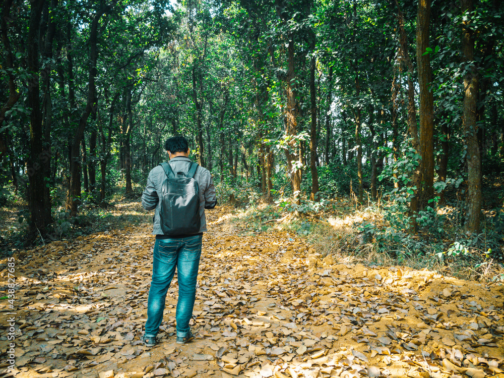 man standing in a forest capturing photo with mobile phone man standing in a forest capturing photo with mobile phone