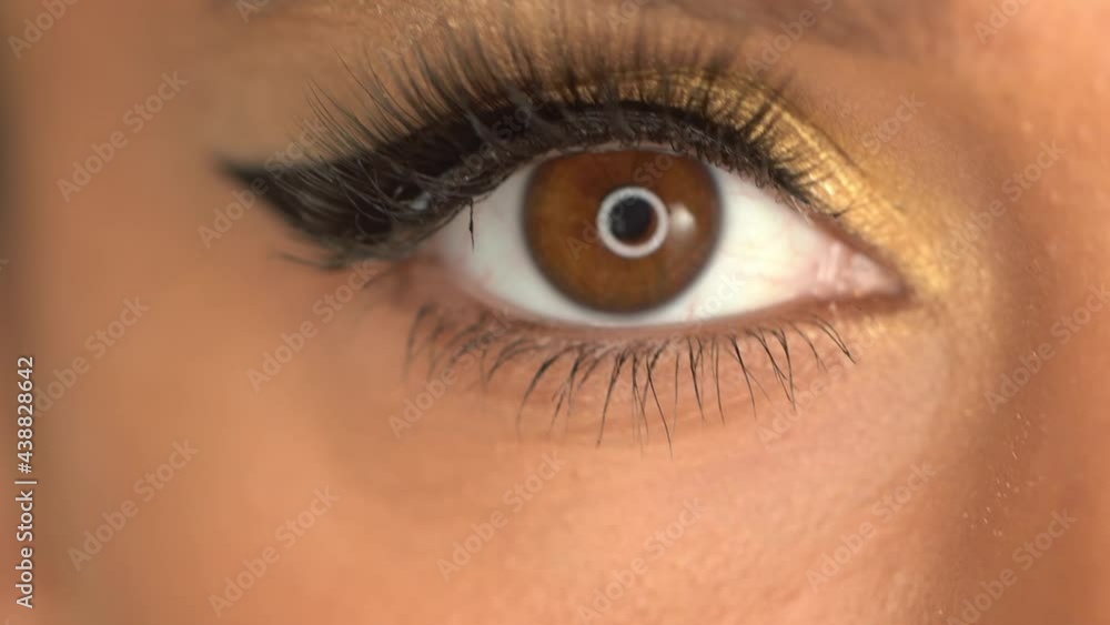 cropped view of african american woman with false eyelashes looking at camera cropped view of african american woman with false eyelashes looking at camera