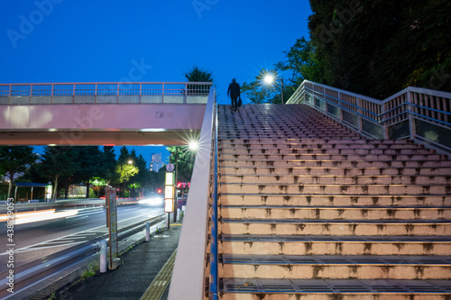 Tokyo overpass to walk over at night