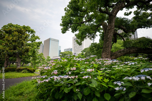 Tokyo Cityscape from a Hibiya Park in Tokyo