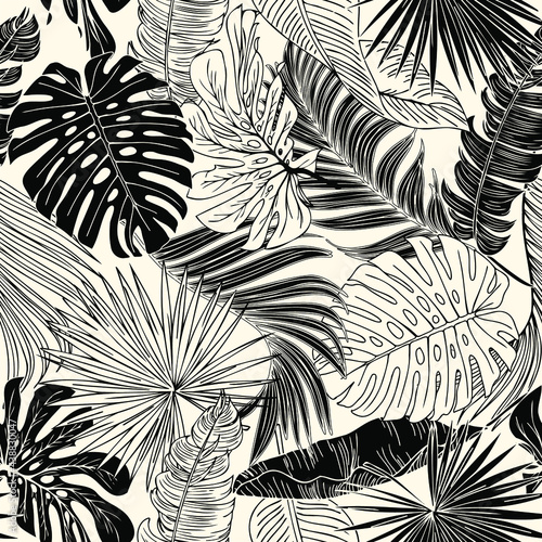 Black and white Monstera, palm, banana any tropical leaf pattern. Vector