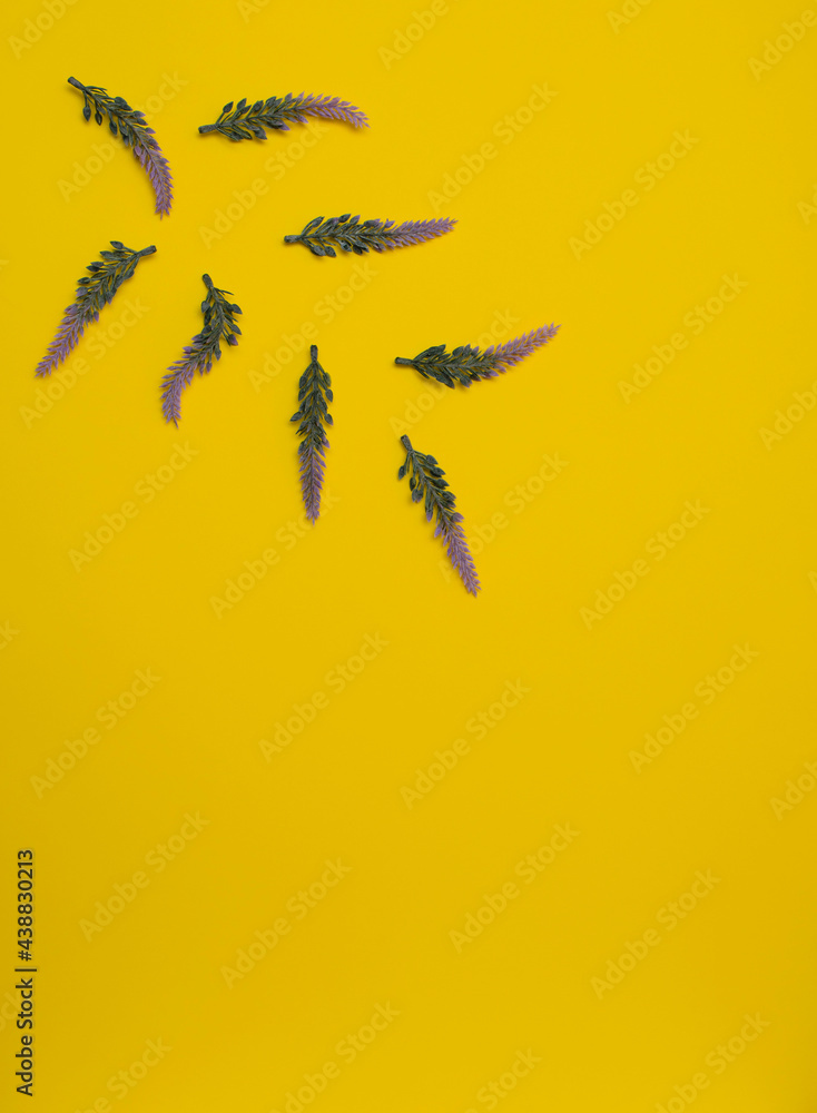 Purple lavender flowers on yellow background. Spring, summer concept. Flat lay style with copy space