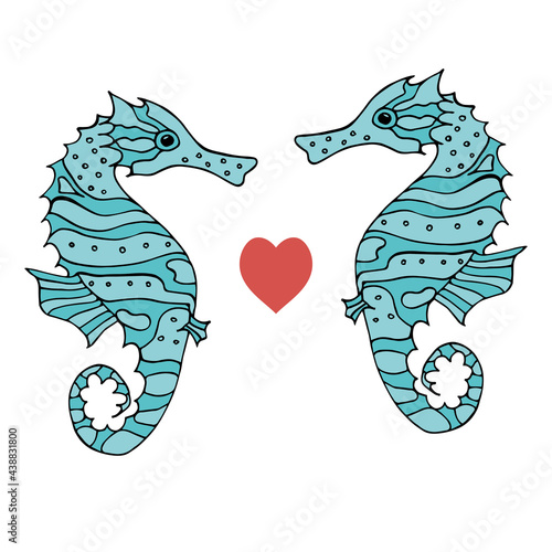 Two seahorse in love on white background. Vector image.